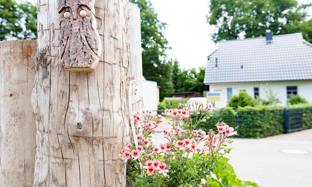 Sonnenblumenhaus 01 Διαμέρισμα Prerow Εξωτερικό φωτογραφία